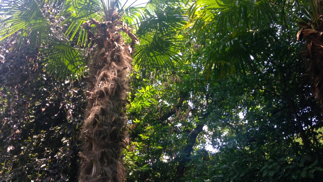 Photo of Outdoor in Grottaferrata