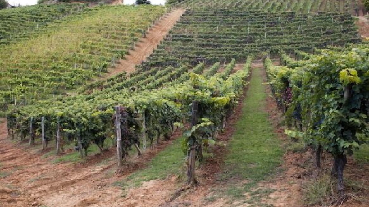 Photo of Outdoor in Vaglio Serra