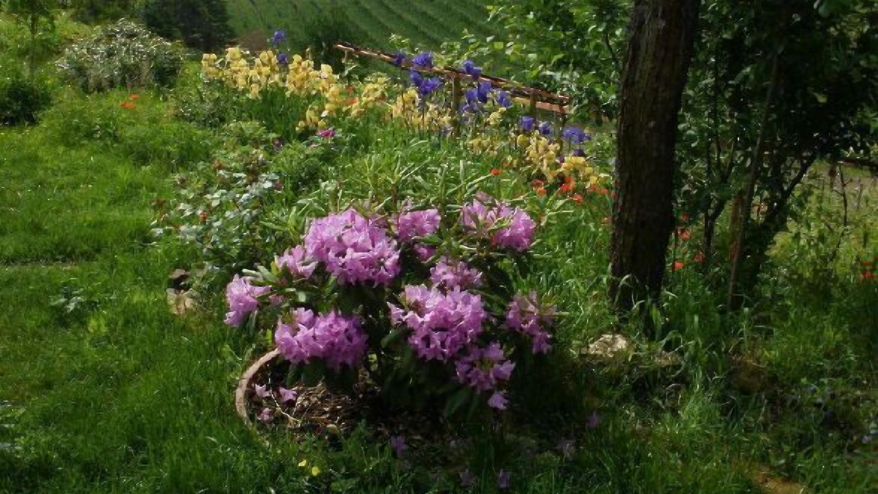 Photo of Outdoor in Vaglio Serra