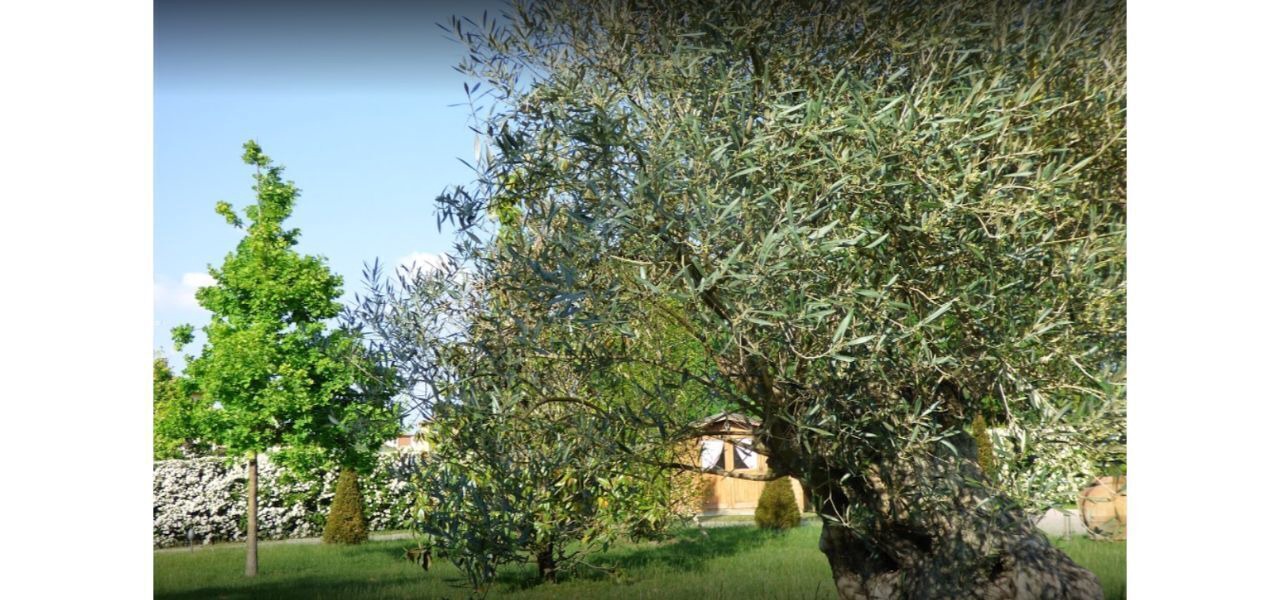 Photo of Outdoor in San Giovanni in Persiceto