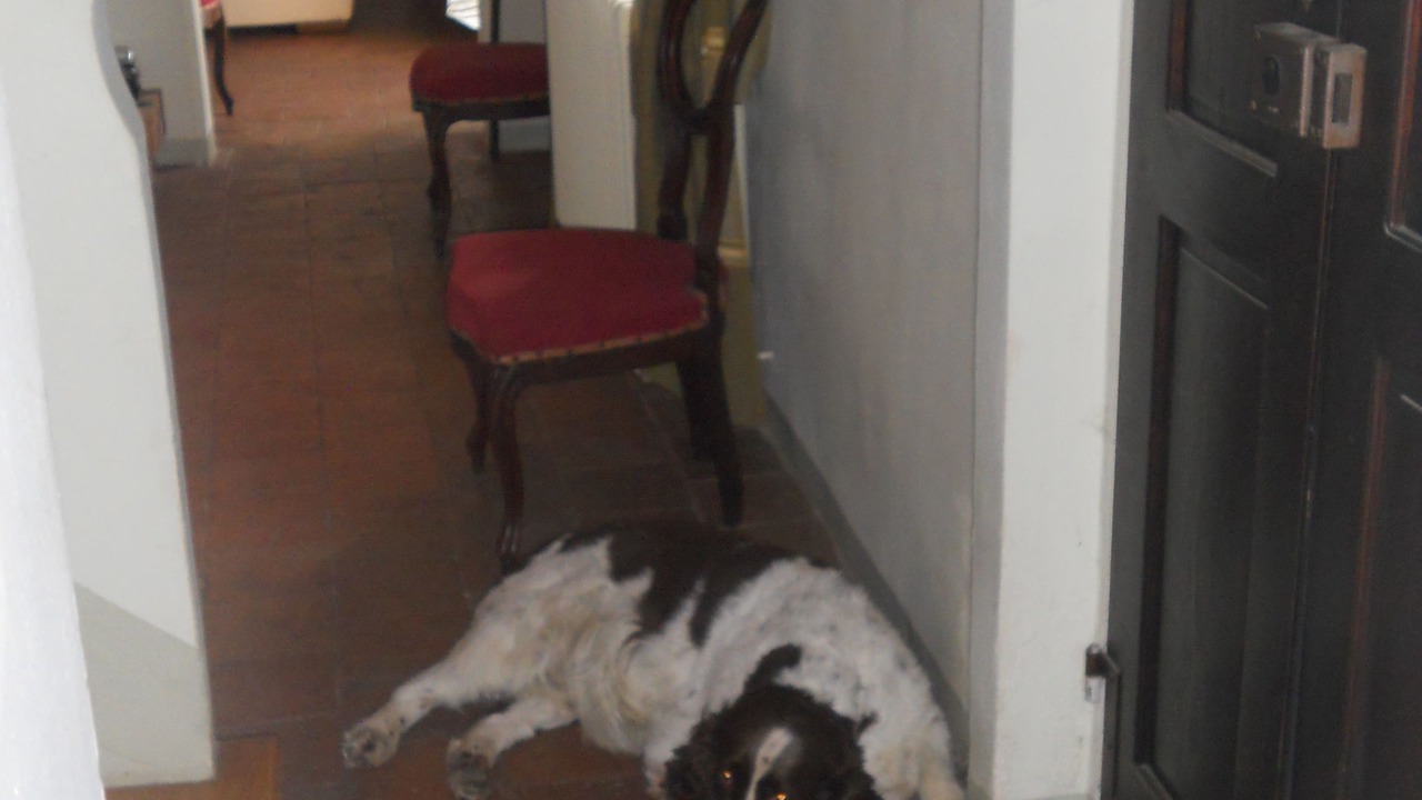 Photo of Others in Camagna Monferrato