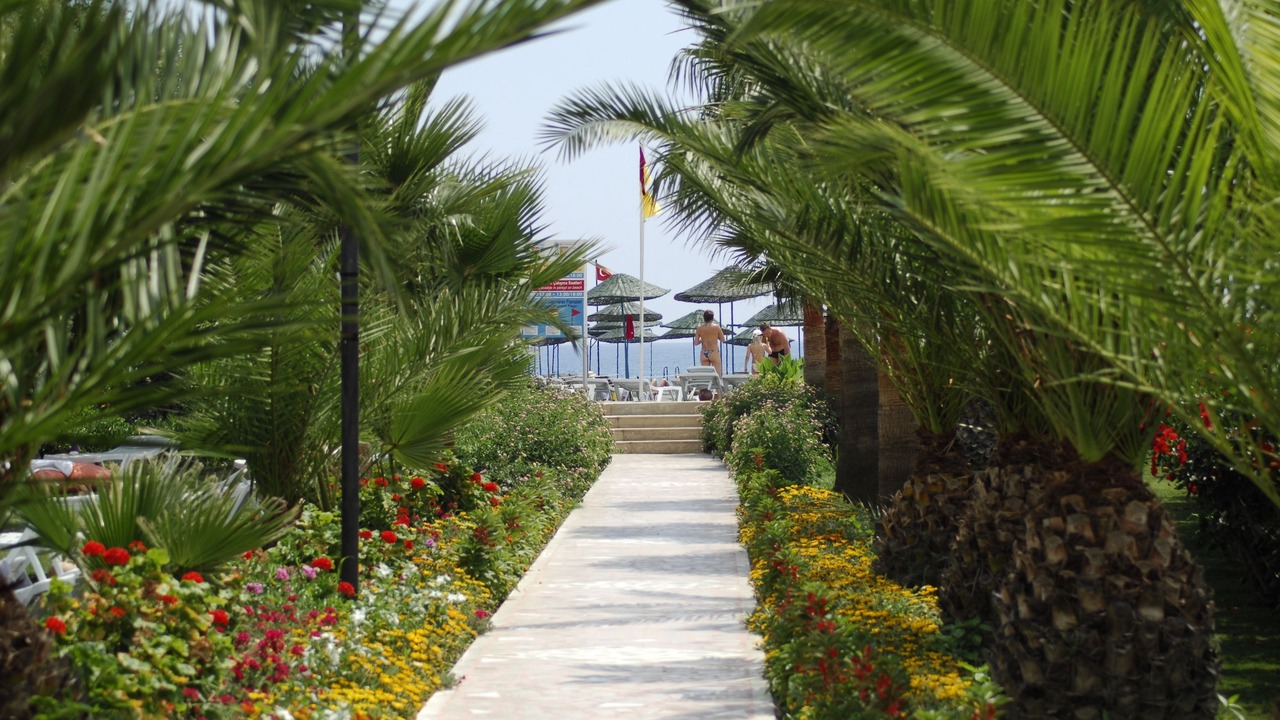 Photo of Outdoor in Kargicak