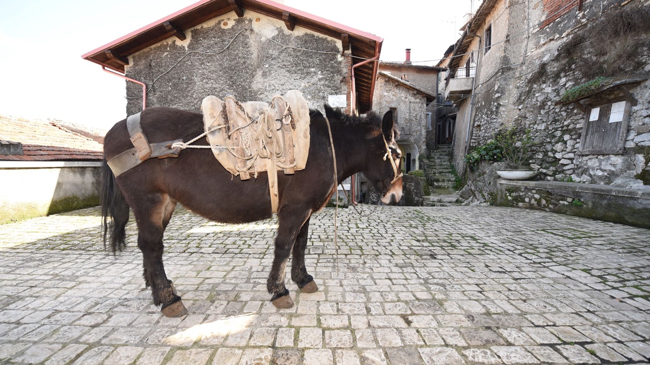Photo of Others in Artena