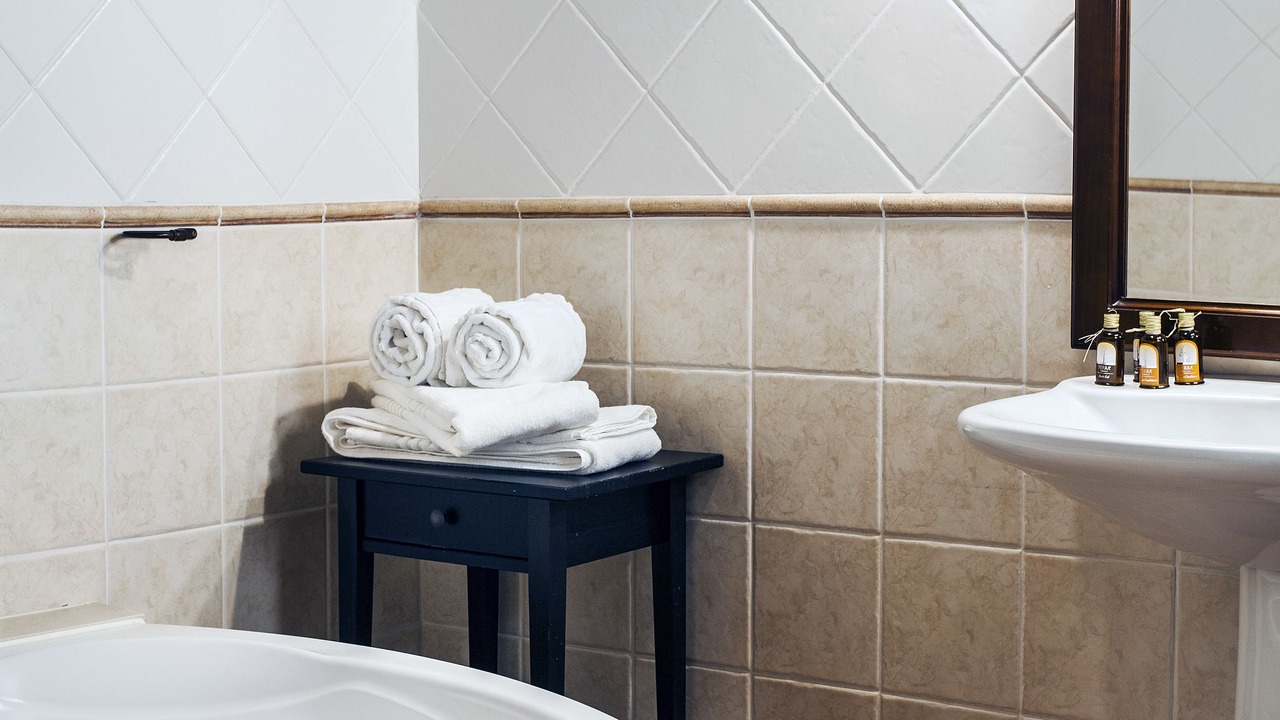 Photo of Bathroom in Erill la Vall