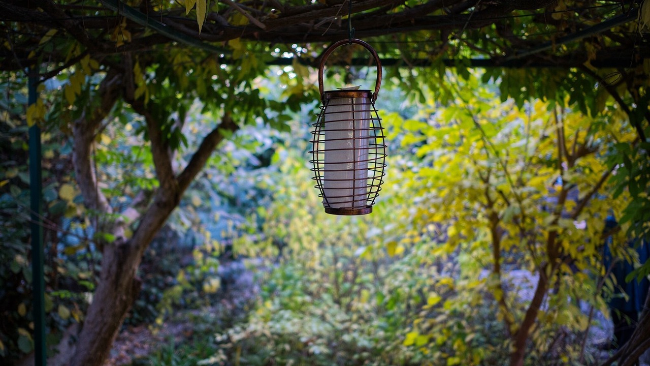 Photo of Outdoor in Saragozza-Porto