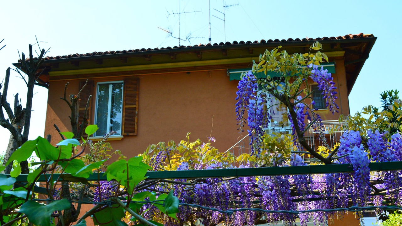 Photo of Outdoor in Saragozza-Porto