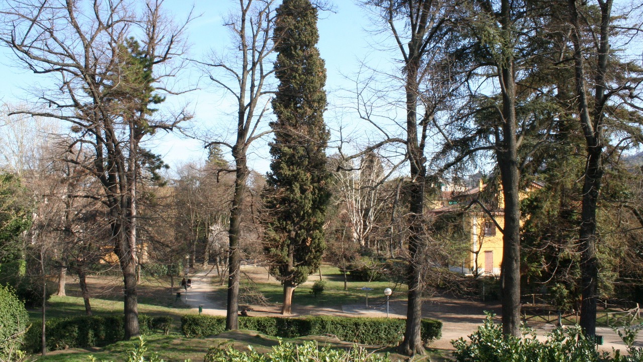 Photo of Others in Saragozza-Porto