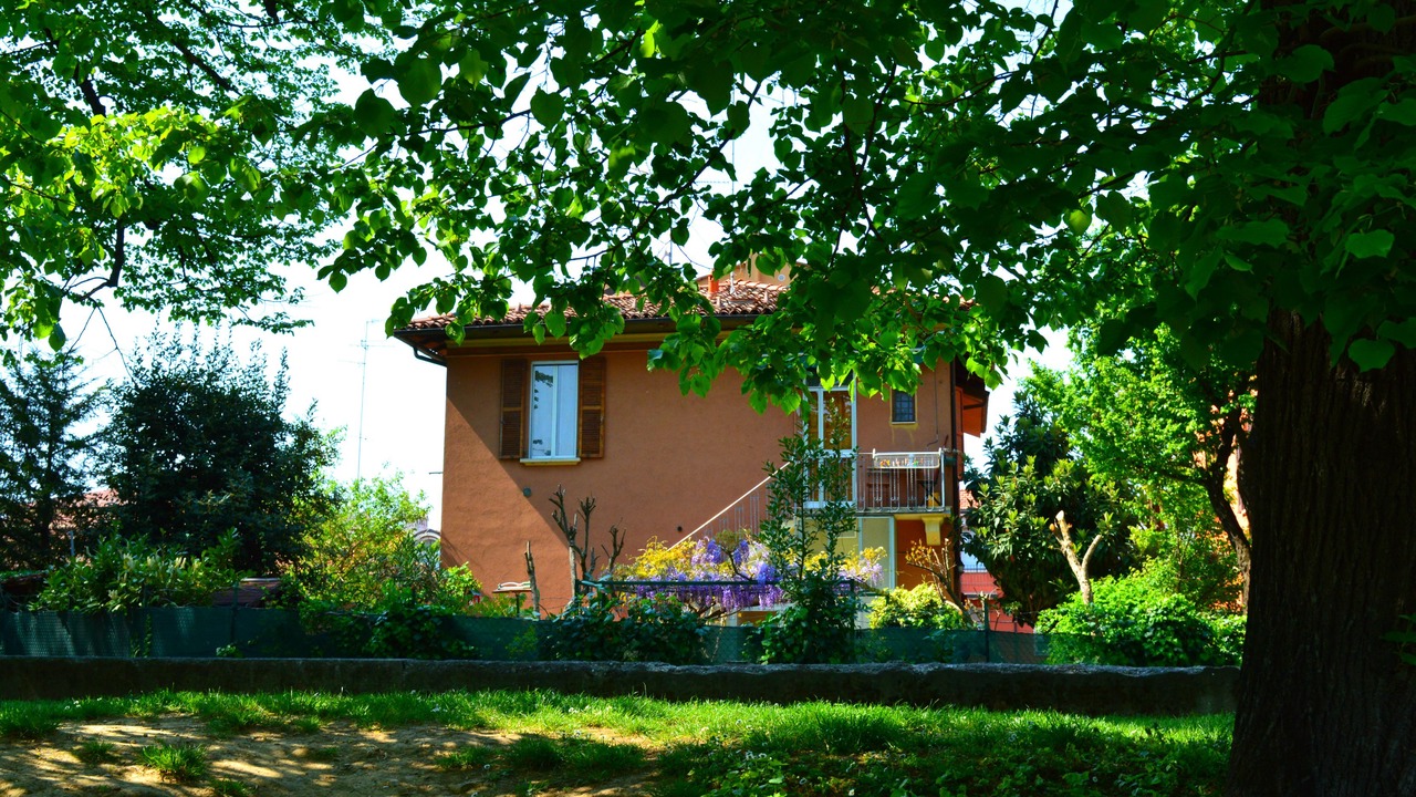 Photo of Outdoor in Saragozza-Porto