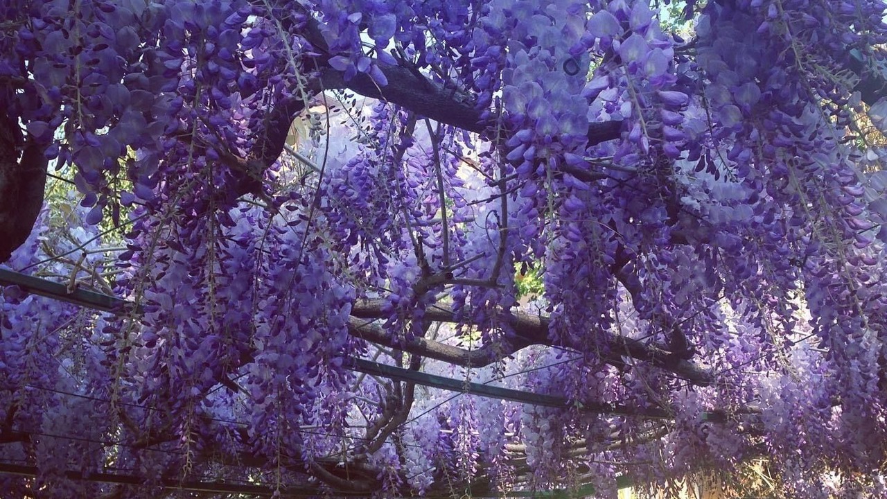 Photo of Outdoor in Saragozza-Porto