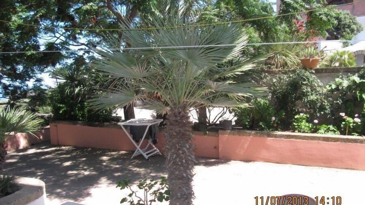 Photo of Outdoor in Kamma
