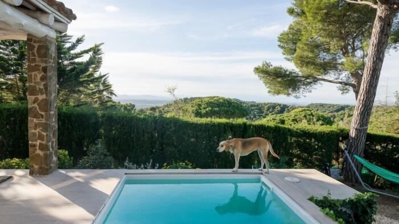 Photo of Outdoor in Begur