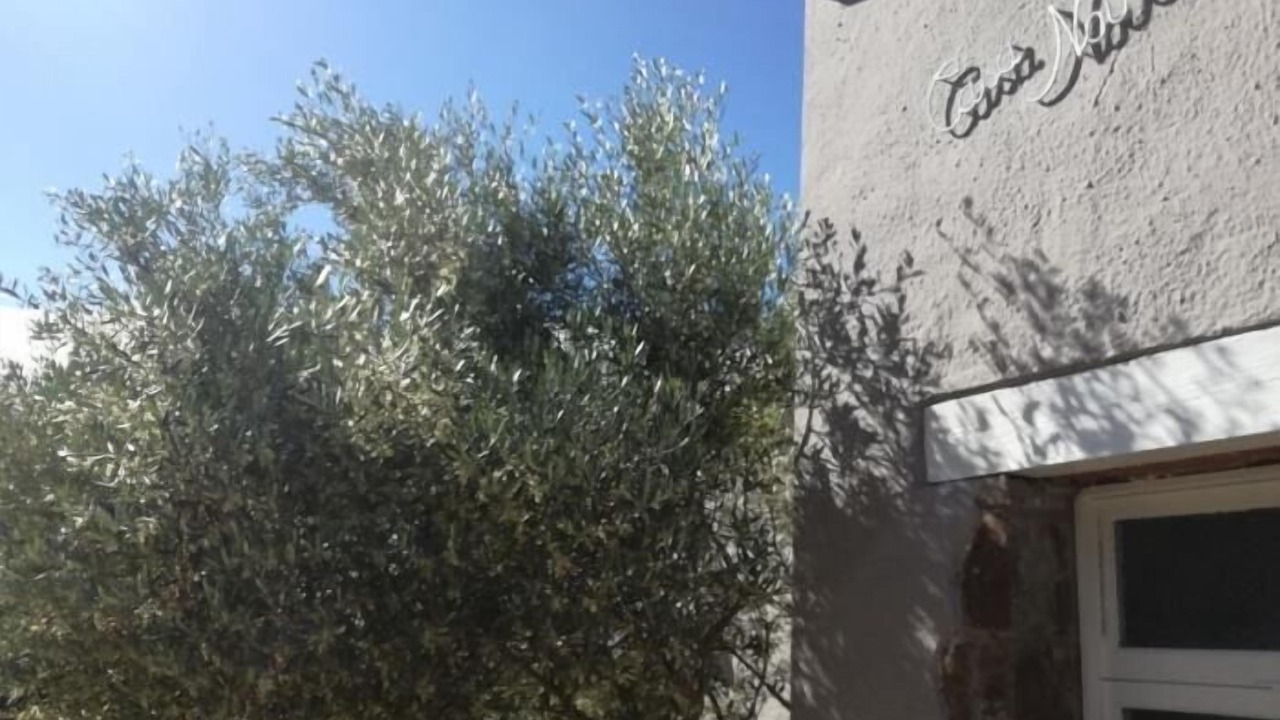 Photo of Outdoor in Begur