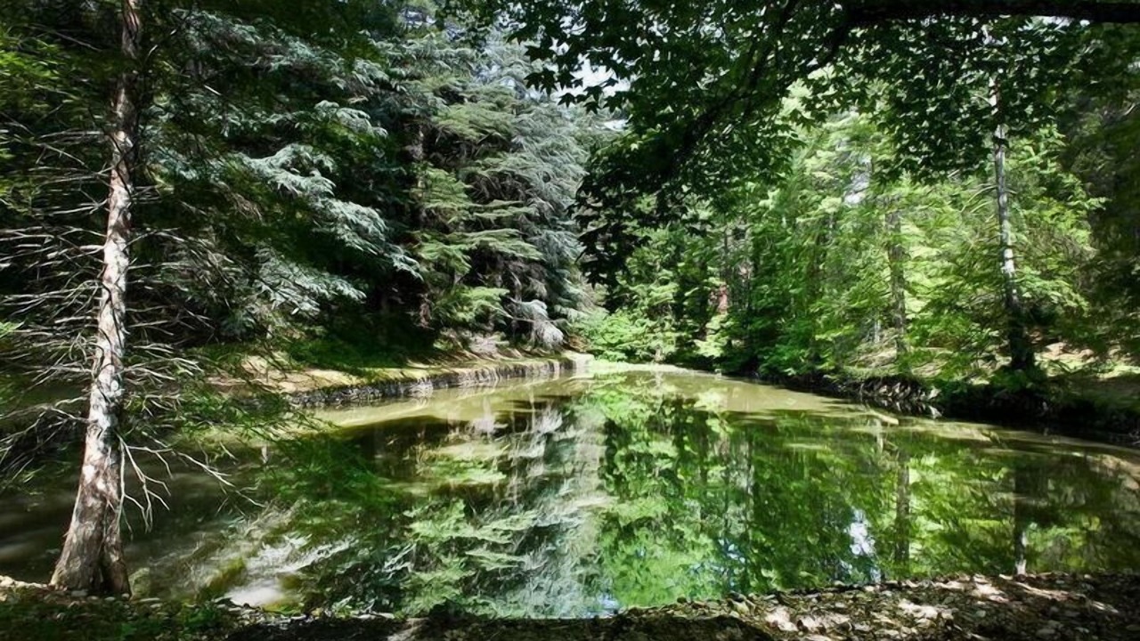 Photo of Outdoor in Cicogna