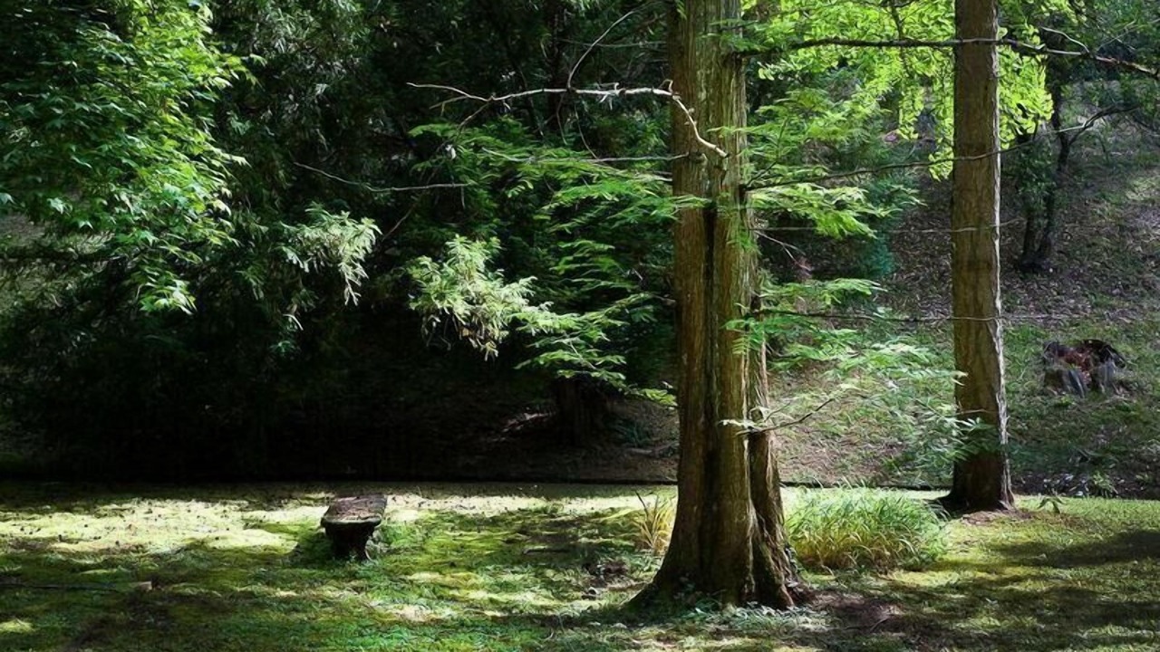 Photo of Outdoor in Cicogna