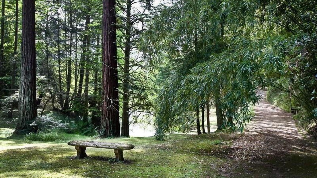 Photo of Outdoor in Cicogna