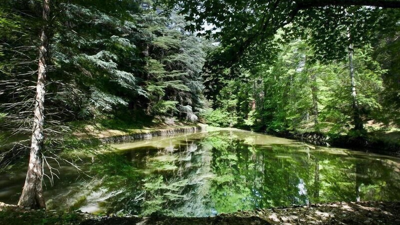 Photo of Outdoor in Cicogna