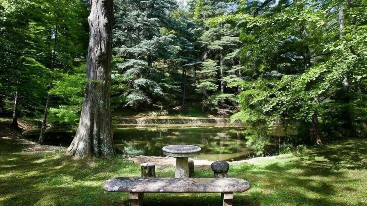 Photo of Outdoor in Cicogna