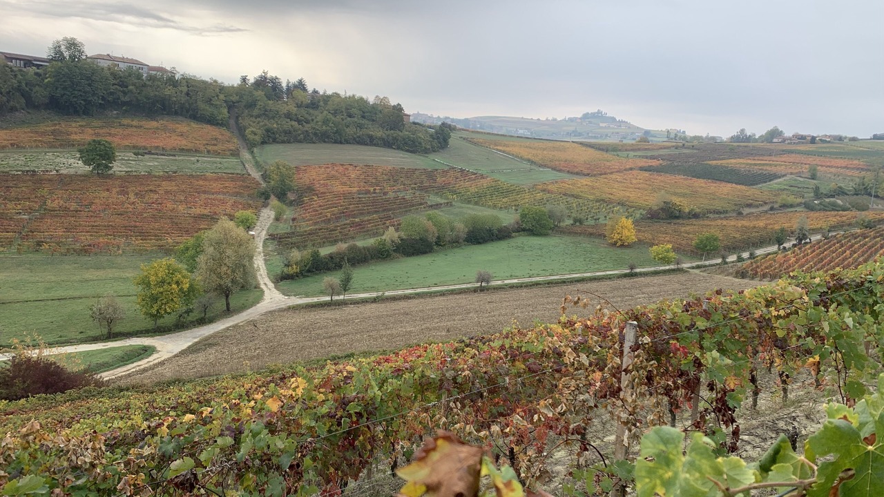 Photo of Outdoor in Montegrosso dʼAsti