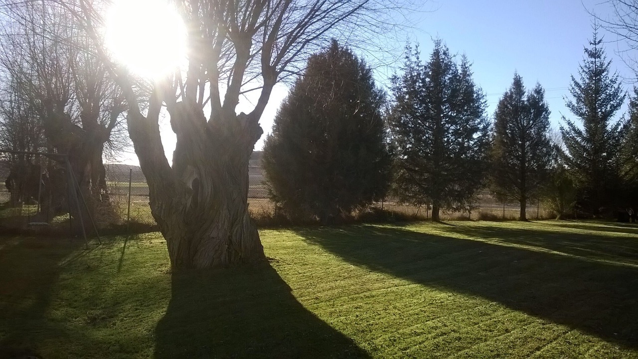 Photo of Outdoor in Banos de Valdearados