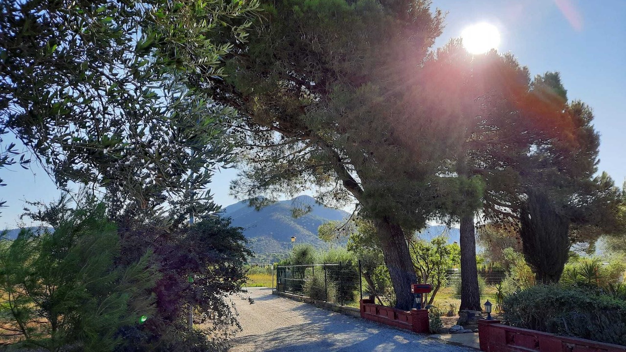 Photo of Outdoor in El Mas Bosca