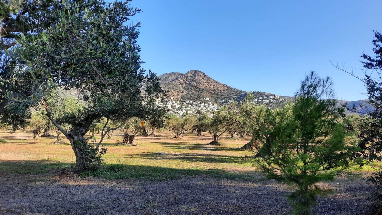 Photo of Outdoor in El Mas Bosca