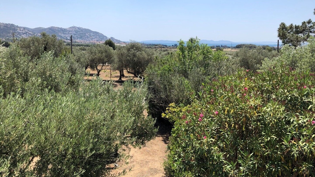 Photo of Outdoor in El Mas Bosca