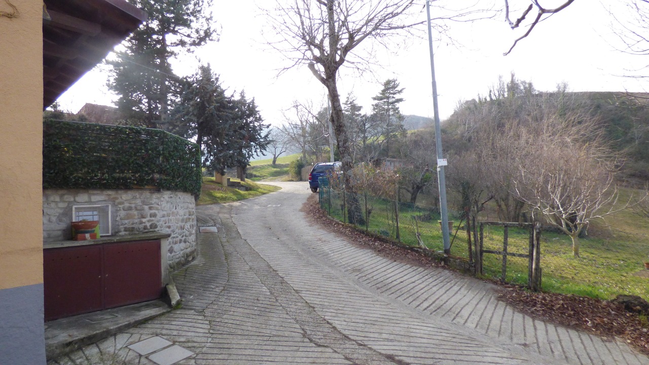 Photo of Outdoor in Loiano