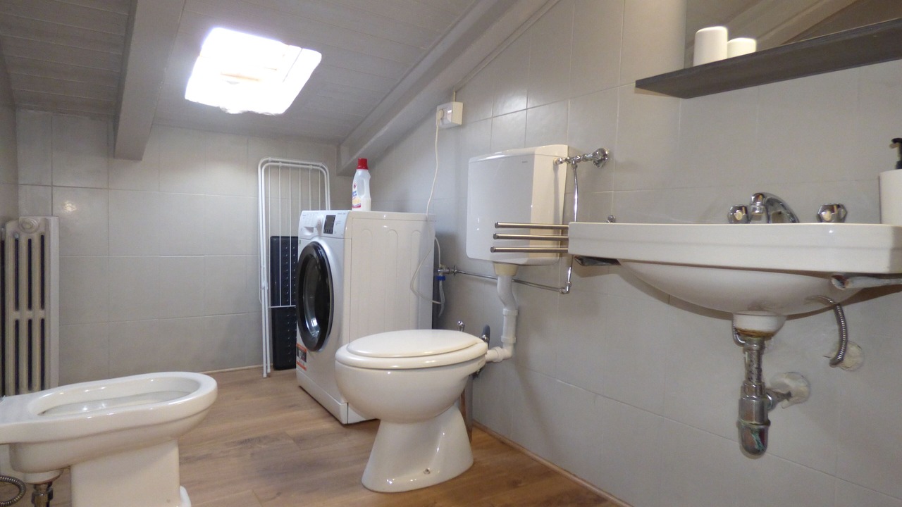 Photo of Bathroom in Loiano