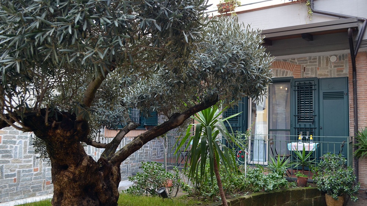 Photo of Outdoor in Sant'Egidio del Monte Albino