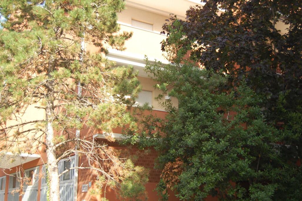 Photo of Outdoor in Grado