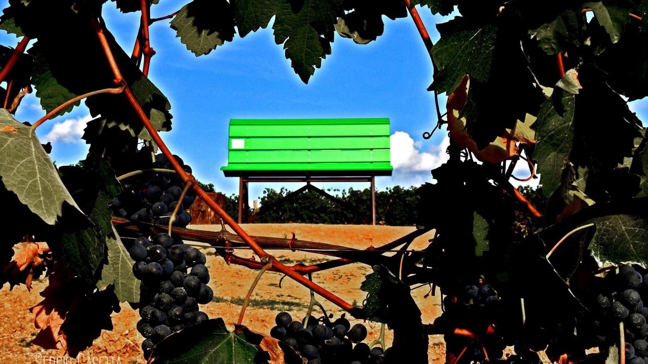 Photo of Outdoor in Monta