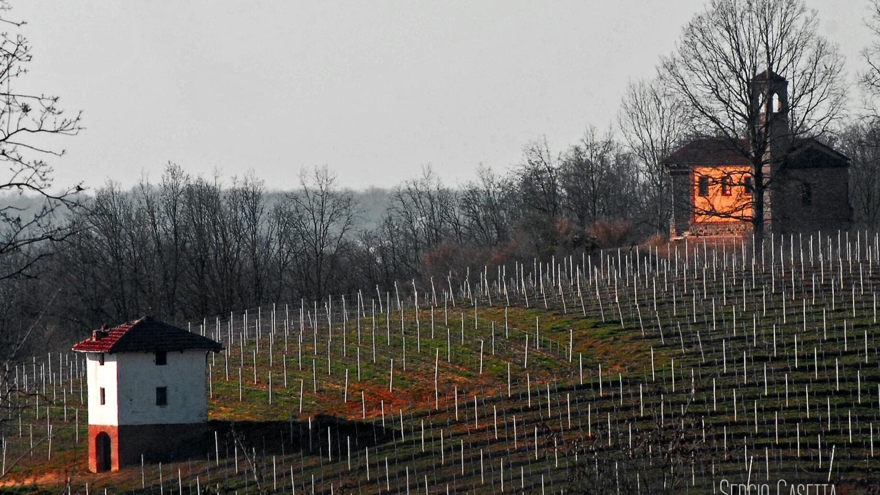 Photo of Outdoor in Monta