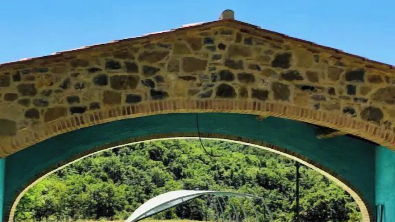 Photo of Outdoor in Montegiove