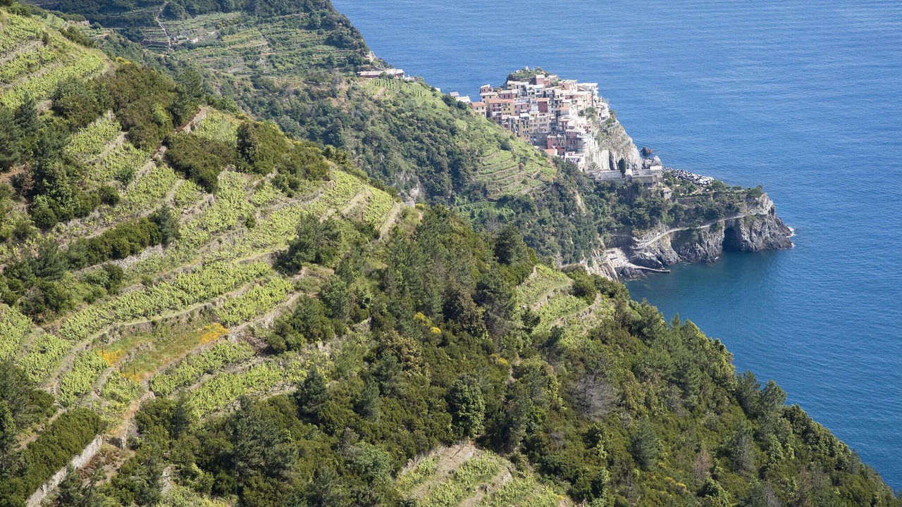 Photo of Others in Serralta