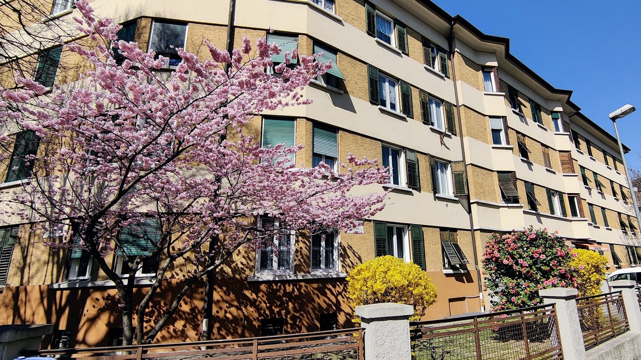 Photo of Outdoor in Merano Historic Center