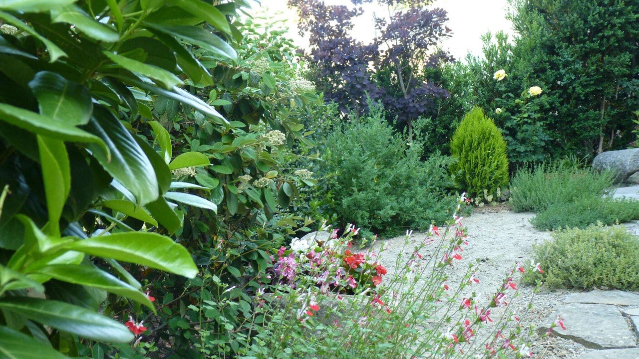 Photo of Outdoor in Castigaleu