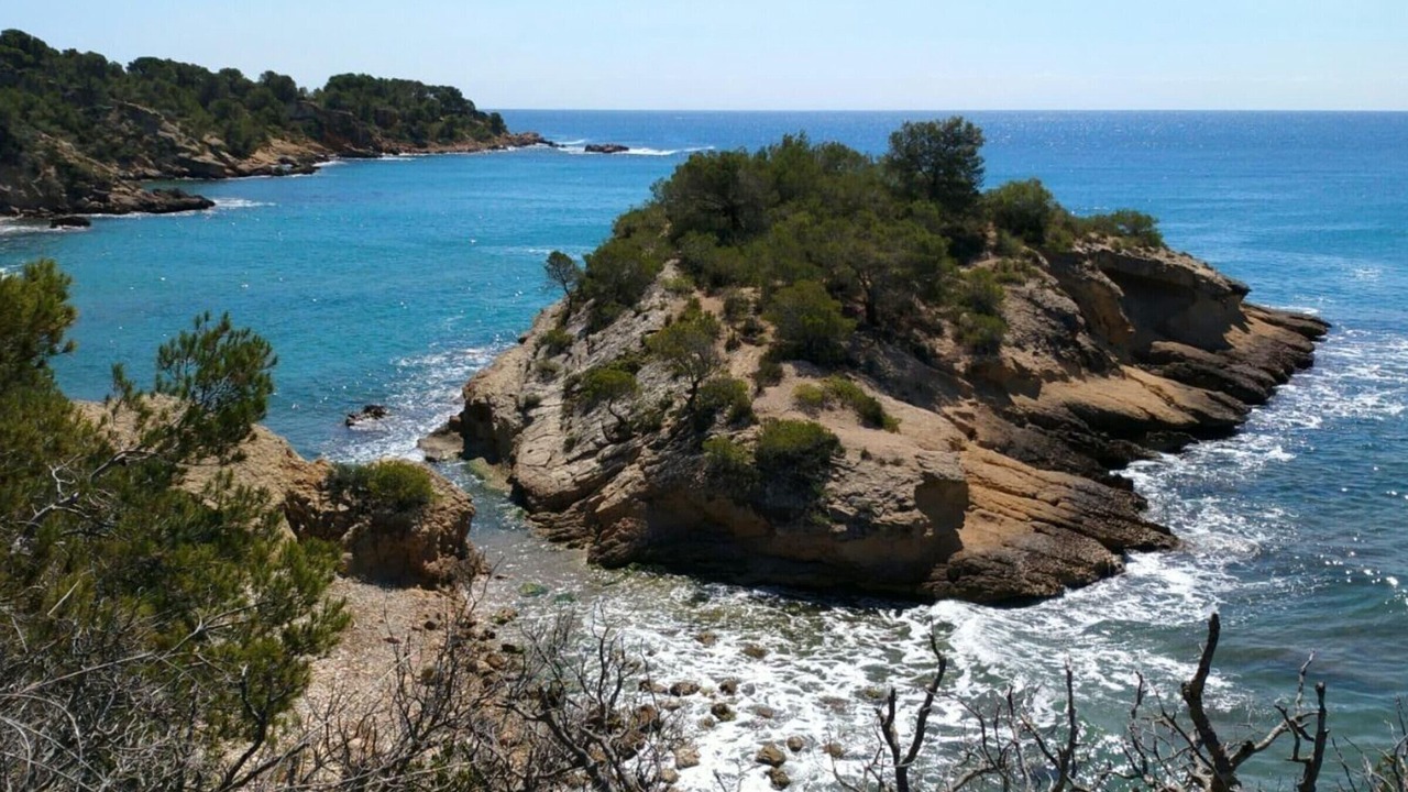 Photo of Others in Calafat