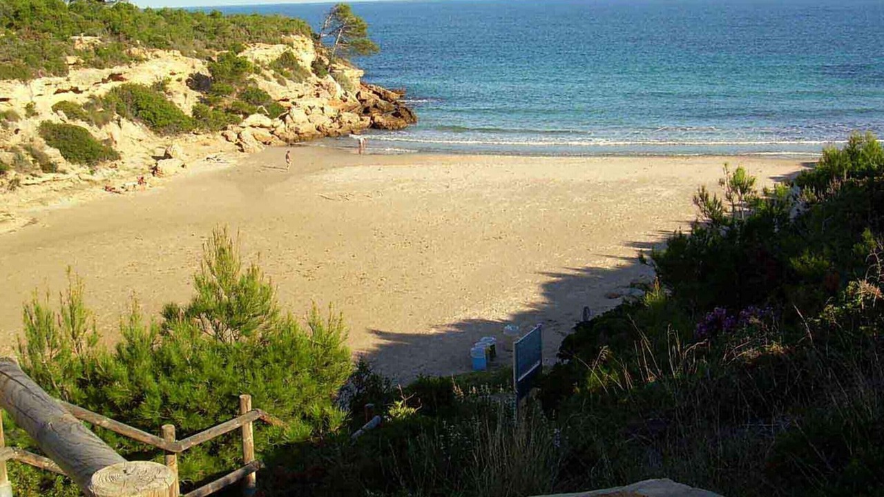 Photo of Others in Calafat