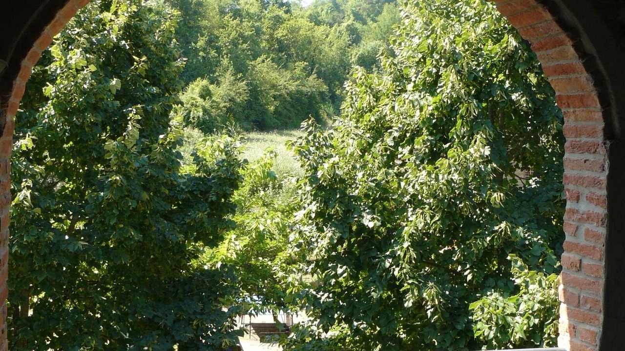 Photo of Outdoor in Toiano