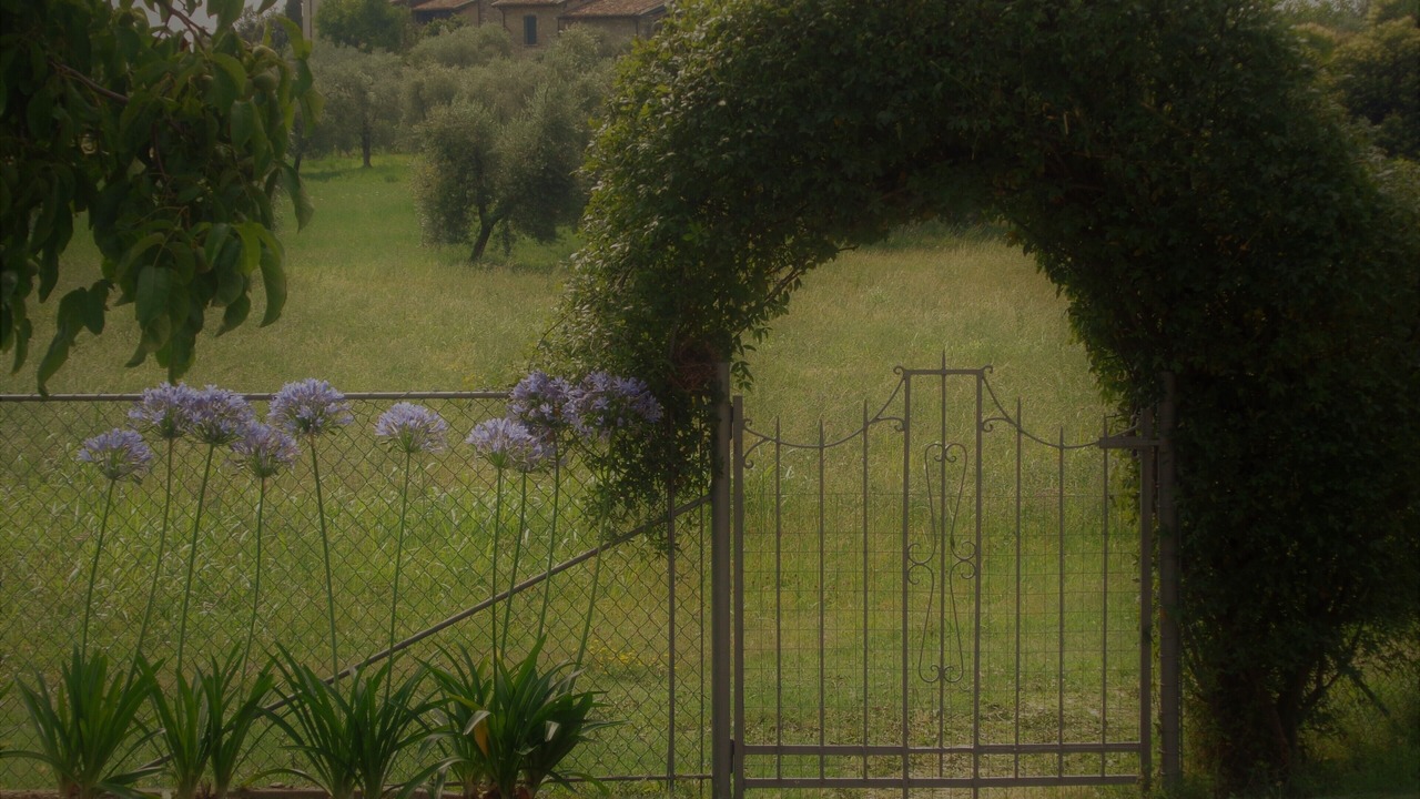 Photo of Outdoor in Roe Volciano