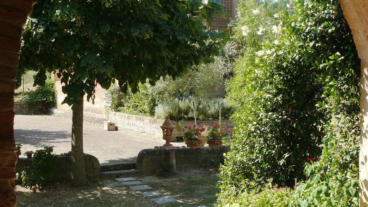 Photo of Outdoor in Toiano