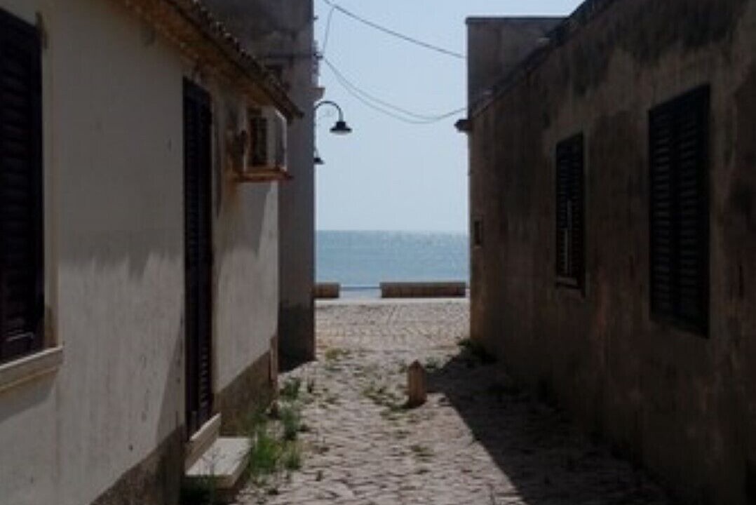Photo of Outdoor in Sampieri