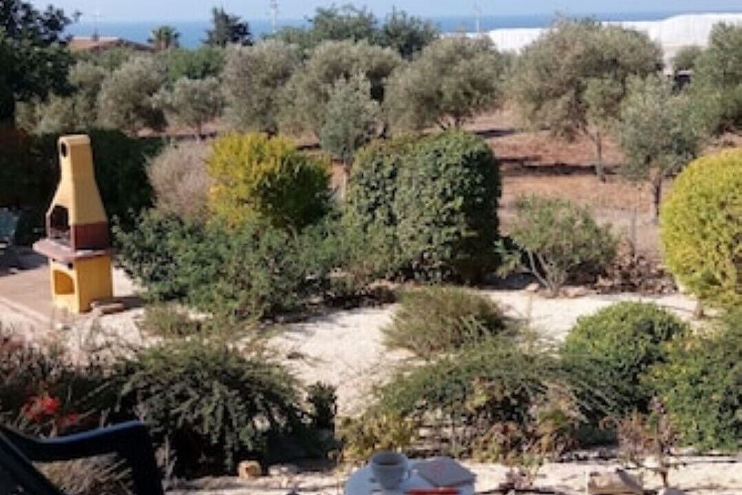 Photo of Outdoor in Sampieri