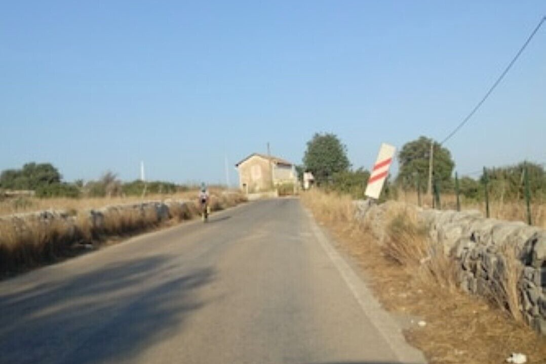 Photo of Others in Sampieri