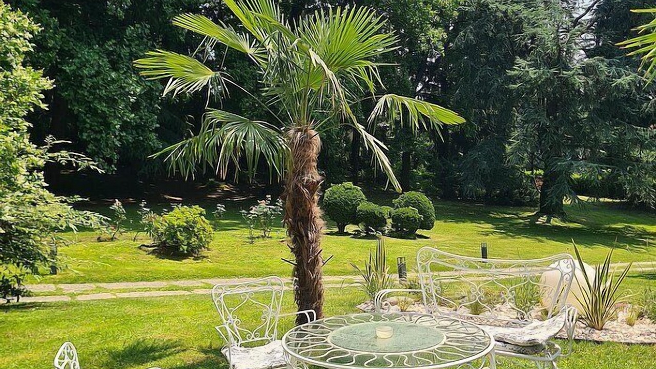 Photo of Outdoor in Sirtori