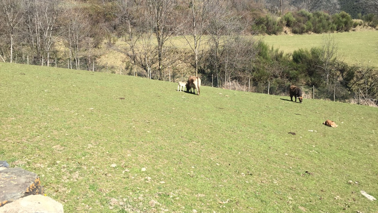 Photo of Outdoor in Serrat