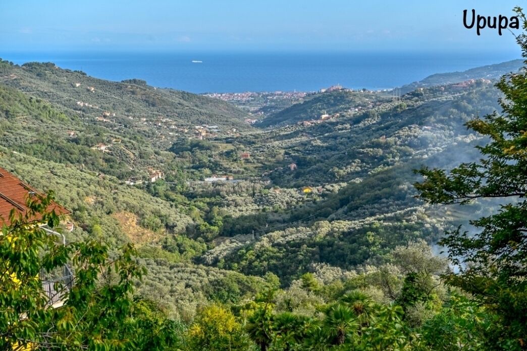 Photo of Outdoor in Diano Evigno