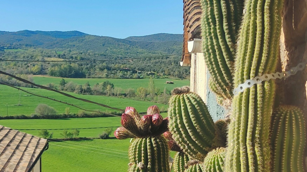 Photo of Outdoor in Benabarre