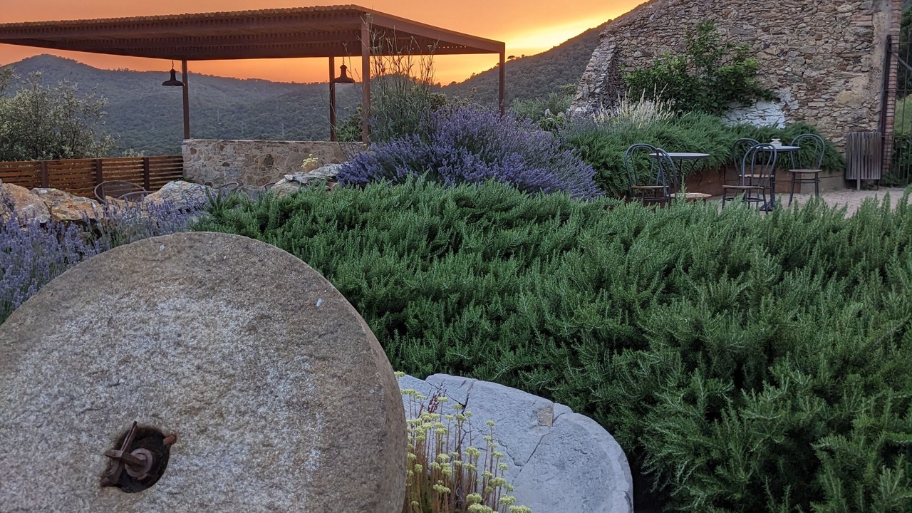 Photo of Outdoor in Quart