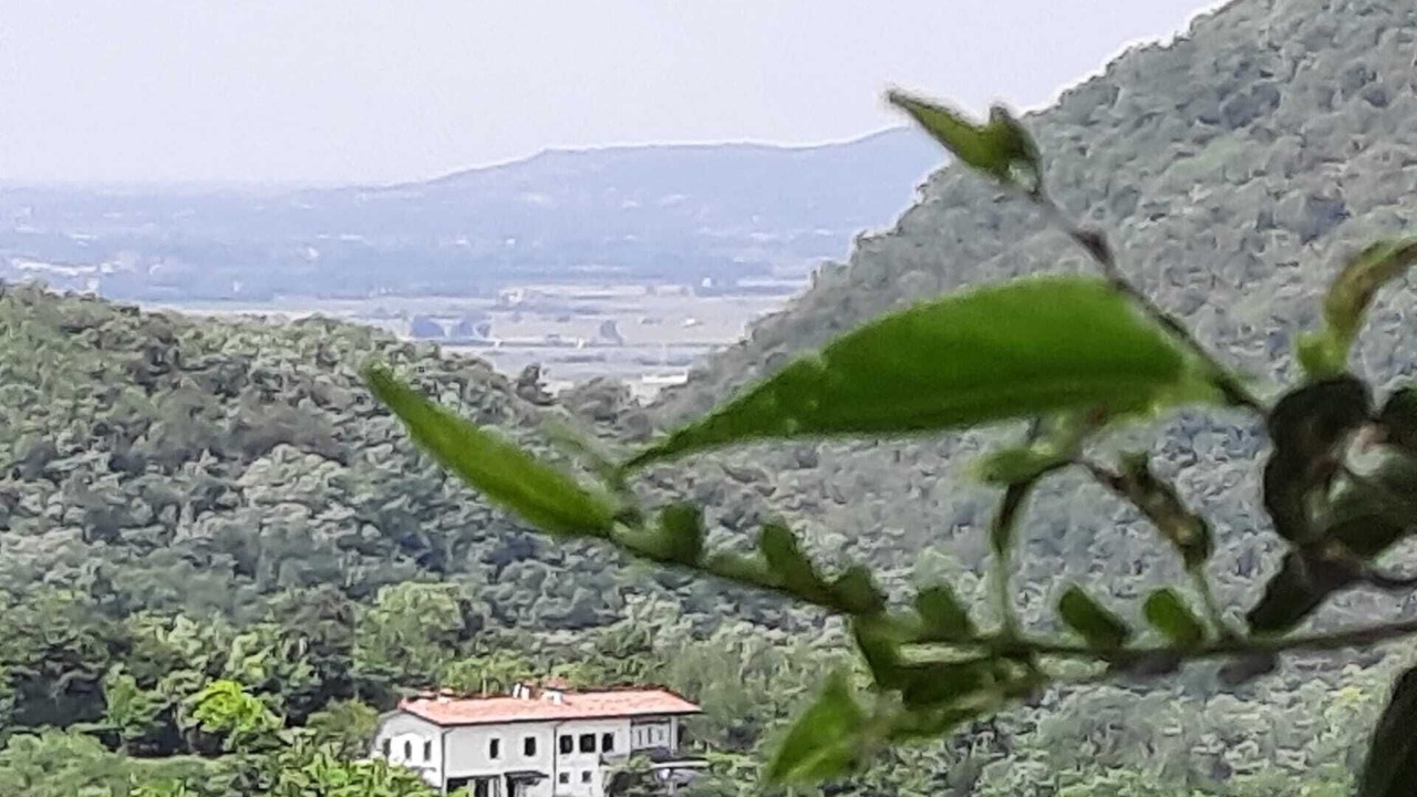 Photo of Outdoor in Vo